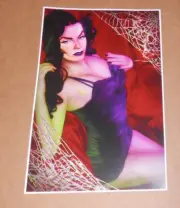 Woman Spiderweb Poster 11x17 Print 2013 Gizmonic Mystery Science Theatre HALLOWE