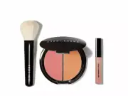 Bobbi Brown Gift Set - Lip and Cheek, Blush, Face Blender Brush, Lip Gloss