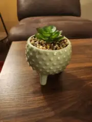 Standing Ceramic Succulent Assorted Artificial 5 x 4.5in Green Medium Decor Home