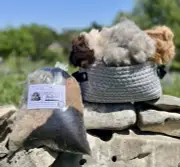 Alpaca Fiber Bird Nesting Material 100% All Natural Unwashed Ready to Hang 5oz.
