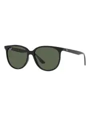 [Ray-Ban] RB4378 Sunglasses in Black