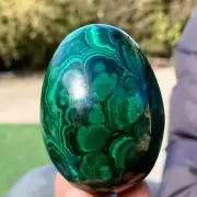 319G Natural glossy Malachite egg transparent cluster crystal mineral sample
