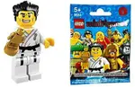 樂高 ( LEGO ) 迷你手辦系列2空手道 KARATE MASTER ( MINIFIGURE SERIES2 ) 8684 – 14