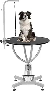 HJYryhyfddply 27.5" Hydraulic Lift Dog Grooming Table, Desktop Grooming Table for Dogs at Home, Adjustable Overhead Arm for Dog Cat(Silver)