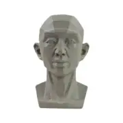 Planar Head Model For Artists Learn Planes of Face, е* J5A7 Manikin Human P2J7