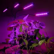AgroMax Homeglow Flex 4 Full Spectrum LED Grow Light - 3 YEAR WARRANTY!
