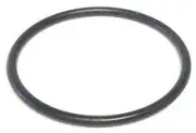 Onga LTP & PPP Swivel Barrel Union Oring - Pack of 4