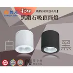 ∥雷士特NESTOR∥〃舞光45W 黑鑽石吸頂筒燈 ︱白色/黑色︱LED-CEB45DR1 原廠保固二年