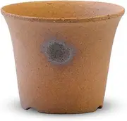 [CtoC JAPAN Select] Shigaraki Pottery F23-21 Pottery 4941273327226 Pottery Width 4.1 x Depth 4.1 x Height 3.5 in (10.5 x 10.5 x 9 cm) No. 3.5 Sled Grass Pot, Stylish Pottery