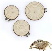 tinkare 3 Pack Jumping Spider Enclosure Ledges with Magnets for Spoods Jumping Spiders Magnetic Ledge Ladder Pet Spider Accessories