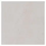 Shaw 442TS Fervor - 12" x 24" Floor and Wall Tile - Sold by