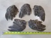 Grouse Wings - 5 Wings - Fly Tying / Arts & Crafts - Dog / Puppy Training