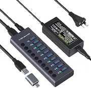 10 Ports USB HUB USB C USB 3.0 Data Hub with Individual On/Off Switches AU Plug Adapter USB Hub 3.0 Splitter for Laptop, PC, Computer, Mobile HDD, Flash Drive and More (10 Port)