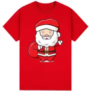 100% Cotton Christmas Unisex T-shirt Adult Tee Mens Top Santa Xmas Party Custume - Santa's Delivery (Red)