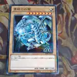 卡片屋 遊戲王 普鑽 青眼白龍 地球版 SDKS-JP009