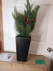 Wondershop 42in H Potted Spruce Top Unlit Tree with Red Berry