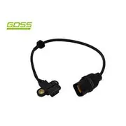 RAE Camshaft Position Sensor - SC246