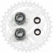 New Athena Crankshaft Bearing Kit For Piaggio Liberty 50 2T