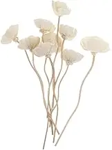 DECHOUS 9pcs Aromatherapy Rattan Flower Diffuser Sticks Aroma Diffuser Stick Preserved Flower Diffuser Wedding Decor Room Diffuser Stick White Flower Decoration Fragrance