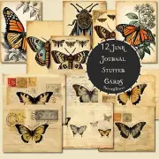 Junk Journal Supplies 12 Butterfly Pocket Stuffer Cards, Scrapbooking