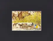 8X10" Matted Print Western Art Picture: Ross Stefan, Mutton and Frybread