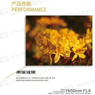 【199超取免運】[享樂攝影]【永諾 50mm F1.8 Canon EF 大光圈鏡頭】EOS EF Mount 自動對焦 全畫幅 單反鏡頭 5D2 5DSR 6D 7D 7D2 70D 700D【APP下單4%點數回饋!!】