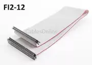 CablesOnline 12" IDE 44Pin Amiga A1200/A600/ Laptop 2.5" Hard Drive Cable FI2-12