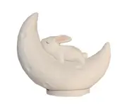 S10 Crescent Rabbit Shape Wireless Bluetooth Speaker with Radio Outdoor Subwoofer Music Player Colorful Lights for Hiking