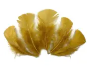 1/4 Lb. - Antique Gold Turkey T-Base Wholesale Body Plumage Feathers Halloween