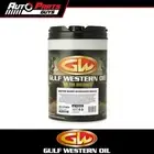 Gulf Western Degreaser Water Soluble Solvent Based 20L | 42018