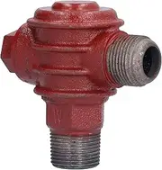 1-Inch Cast Iron Check Valve Small Backflow Valve for Air Compressors