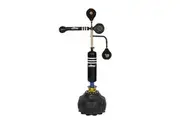 Centra Boxing Speed Ball Free Standing