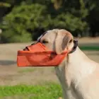 Stop Chew Protection Mouth Mask Anti Bark Pet Mouth Cover for Dog Walking