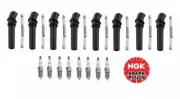 NGK PLATINUM Spark Plugs & Coil Boots Kit for Ford Mustang E150 F150 4.6L 5.4L