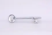 Vintage Chrome Skeleton Key Blanks