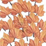 Generic Maple-Leaf Self-Stick Note Pads,Sticky Notes,Autumn Leaf Self Adhesive Notepads Thanksgiving Memo Pad Message Reminder for Annotating Books School Home Office Supplies (1 Pack (50Sheet))