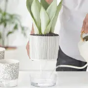 Transparent Self-watering Plants Pot With Water Container Flower Pot Plant_$d
