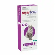Bravecto Cat Large 6.25-12.5kg Purple Spot On Treatment Kills Fleas & Ticks 2