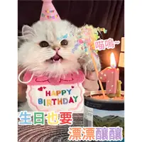 在飛比找蝦皮購物優惠-寵物生日配件🎂 寵物生日帽 狗狗生日 貓咪生日 狗生日帽 生