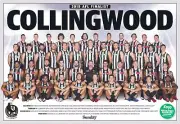 Collingwood magpies poster, AFL football,premiers dogs,crows ,swans,books,blues1