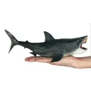 Shark Figure Megalodon Model Animal Simulation Shark Toy for Teaching Aid Ages