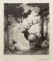 Heart of the Wilderness [elk] : William Herbert Dunton : Art Print for Framing