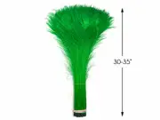 50 Pieces - 30-35" Kelly Green Bleached & Dyed Peacock Tail Eye Feathers