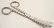 6" Stainless Steel Scissors, Curved Blades, Blunt Tips