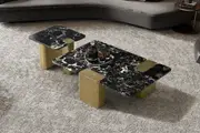 Aurora Black Rose Marble Top Coffee Table - Metal Legs in Gold