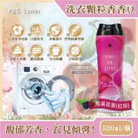 在飛比找momo購物網優惠-【日本P&G Lenor】法式奢華頂級12週衣物芳香顆粒香香