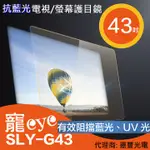 (免運費)【寵EYE】43吋 抗藍光液晶電視/螢幕護目鏡 (SLY-G43)