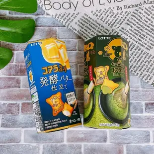 【疲老闆】日本 Lotte 樂天 小熊餅乾 發酵奶油 抹茶 盒 夾心餅乾