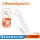 群加 PowerSync 防雷擊6開6插延長用電源線組/2.7m(PWS-EAS6627)