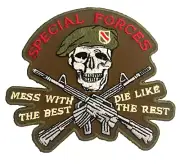 U.S. ARMY SPECIAL FORCES COMMEMORATIVE PATCH (USA-2)